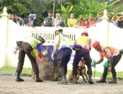 Kapolda DIY Tutup Latihan Samapta Bintara Remaja 2024 di Sleman