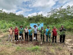 PLN EPI dan Keraton Yogyakarta Kembangkan Biomassa di Gunungkidul