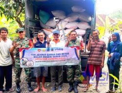 Babinsa Koramil 06/Semin Kawal Bulog Gunungkidul Serap 4,3 Ton Gabah Petani