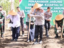 Polda DIY Tanam Jagung Serentak di Gunungkidul, Dukung Target Nasional 1 Juta Hektare Lahan Produktif
