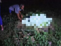 Lansia Ditemukan Meninggal Dunia di Pematang Sawah