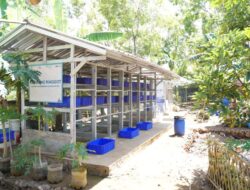 PLN EPI Dorong Ekonomi Sirkular di Gunungkidul Lewat Program Maggot BSF