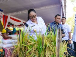 Hari Tani Nasional 2025, Ribuan Petani Gunungkidul Berkumpul di Sewokoprojo