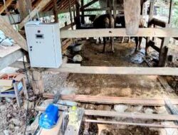 Mahasiswa UNY Ciptakan SmartCleaner, Inovasi Energi Surya untuk Peternakan Sapi Berkelanjutan