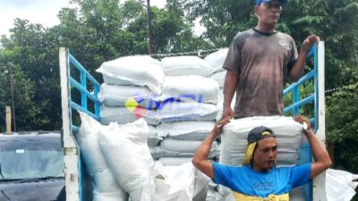 Sambut Musim Tanam 2025/2026, Petani Gunungkidul Dapat Angin Segar dari Bantuan Benih Pemerintah