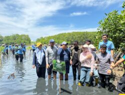 UNY Tanam Ribuan Mangrove di Pantai Mendit, Dukung SDGs dan UI GreenMetric
