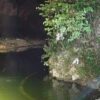 Outbond Berujung Duka, Siswa SD di Gunungkidul Tewas Tenggelam di Sungai Kamal