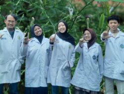 Mahasiswa UNY Ciptakan Terapi TBC Inovatif dari Limbah Udang dan Daun Sambiloto
