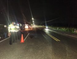 Pemotor Tewas Tertabrak Ambulans di Jalan Jogja–Wates, Kecelakaan Terjadi Saat Korban Terjatuh dari Motor