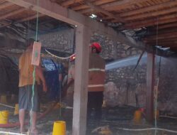 Ribuan Anak Ayam Berhasil Diselamatkan Berkat Tindakan Cepat Petugas dan Warga