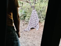 Kakek 84 Tahun Ditemukan Meninggal Gantung Diri di Belakang Rumah di Tepus