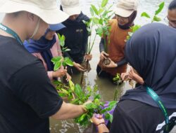 Sobat Bumi UNY Tanam Mangrove di Pantai Baros, Dorong Kepedulian Lingkungan Pesisir Bantul