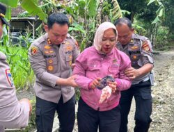 Aksi Cepat di Tengah Dinas, Kapolres Gunungkidul Turun Langsung Tolong Korban Laka Tunggal