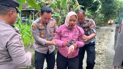Aksi Cepat di Tengah Dinas, Kapolres Gunungkidul Turun Langsung Tolong Korban Laka Tunggal