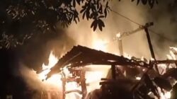 Bakar Sampah untuk Usir Nyamuk, Kandang Sapi di Ponjong Ludes Terbakar