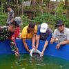 Di Tengah Pemangkasan Dana Desa, Kalurahan Kepek Kabupaten Gunungkidul Tetap Eksis lewat Investasi Lele Berkelanjutan