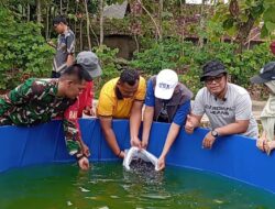 Di Tengah Pemangkasan Dana Desa, Kalurahan Kepek Kabupaten Gunungkidul Tetap Eksis lewat Investasi Lele Berkelanjutan