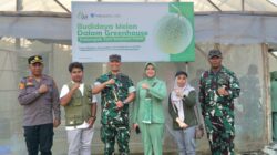 Dandim Gunungkidul Dorong Anak Muda Tekuni Budidaya Melon, Potensi Penghasilan Capai Rp5 Juta per Bulan