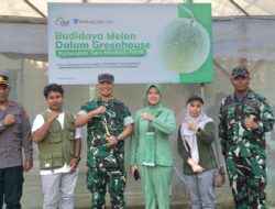Dandim Gunungkidul Dorong Anak Muda Tekuni Budidaya Melon, Potensi Penghasilan Capai Rp5 Juta per Bulan