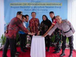 Dari Gunungkidul untuk Energi Nasional: PLN EPI Digitalisasi Rumah Bibit Biomassa, Warga Kini Ikut Pasok Energi PLTU