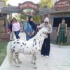 Pony Park Klaten Siap Dibuka 28 Juni 2026, Hadirkan Wisata Edukasi Satwa Interaktif Pertama di Klaten