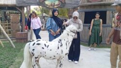 Pony Park Klaten Siap Dibuka 28 Juni 2026, Hadirkan Wisata Edukasi Satwa Interaktif Pertama di Klaten