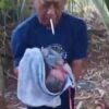 Bayi Baru Lahir Ditemukan Terlantar di Kebun Padukuhan Kemejing I Semin, Warga Digegerkan Tangisan dari Bawah Pohon Kelapa