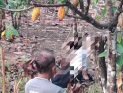 Perempuan Muda Asal Umbulrejo Ponjong Ditemukan Meninggal Dunia di Area Ladang