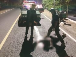 Apes! Tabrak Kucing yang Menyeberang, Pemotor Luka Berat di Patuk