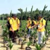 BPDP dan Kementan Latih 108 Pekebun Sawit Swadaya Sumut, Bidik Produktivitas dan Kualitas Kebun