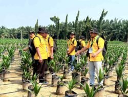 BPDP dan Kementan Latih 108 Pekebun Sawit Swadaya Sumut, Bidik Produktivitas dan Kualitas Kebun