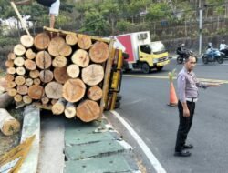 Truk Bermuatan Kayu Gelondongan Terguling di Tikungan Hargodumilah Patuk