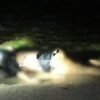 Mayat Perempuan Ditemukan di Pantai Krakal Gunungkidul, Identitas Korban Terungkap
